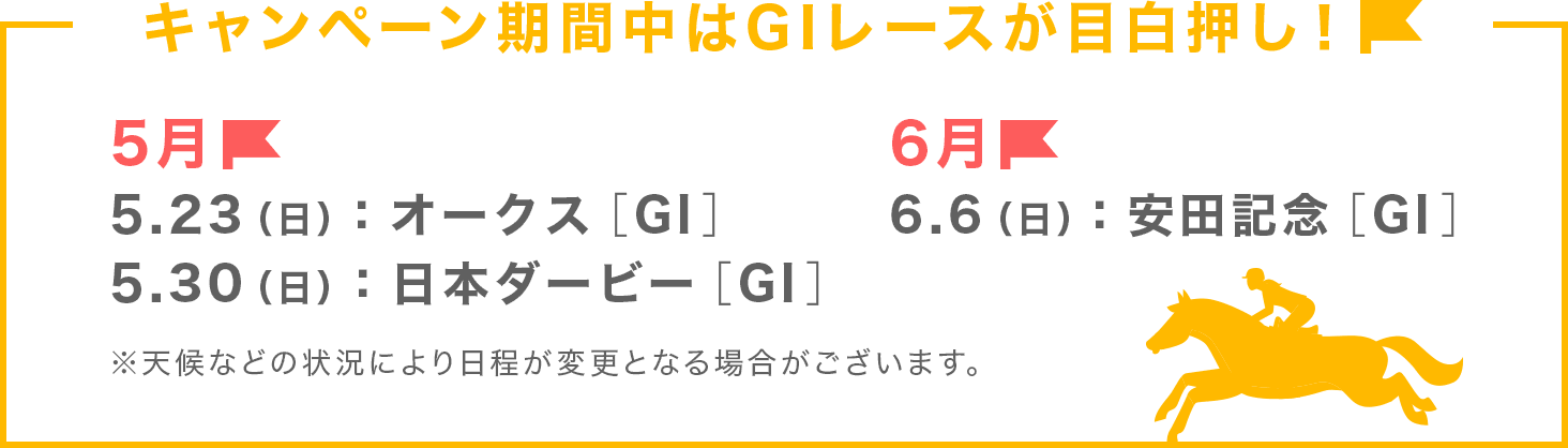 Ly[ԒGI[XڔI 5 523ijjFI[NXiGIj 530ijjF{_[r[iGIj 6 66ijjFcLOiGIj VȂǂ̏󋵂ɂύXƂȂꍇ܂B