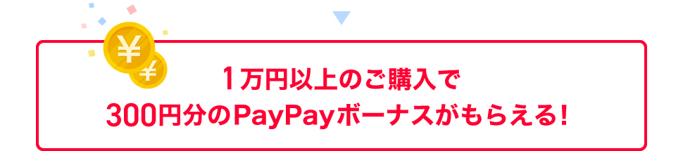 1万円以上のご購入で300円分のPayPayボーナスがもらえる!