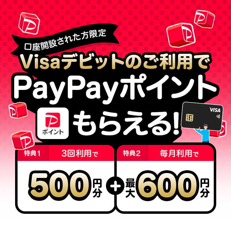 J݂ꂽ VisafrbĝpPayPay|Cg炦I T1 3񗘗pPayPay|Cg500~ T2 pPayPay|Cgő600~