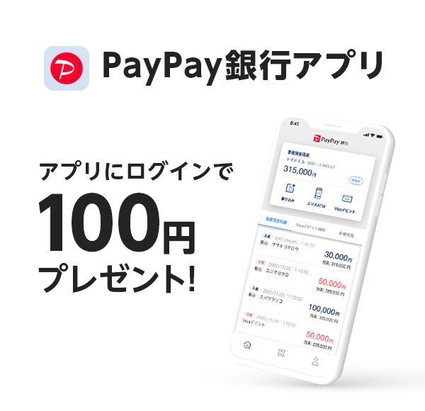 PayPaysAv AvɃOC100~v[gI