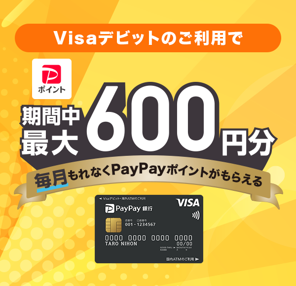VisafrbĝpŊԒő600~ ȂPayPay|Cg炦