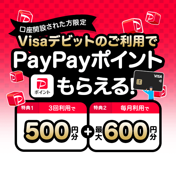 J݂ꂽ VisafrbĝpPayPay|Cg炦I T1 3񗘗p500~ T2 pōő600~