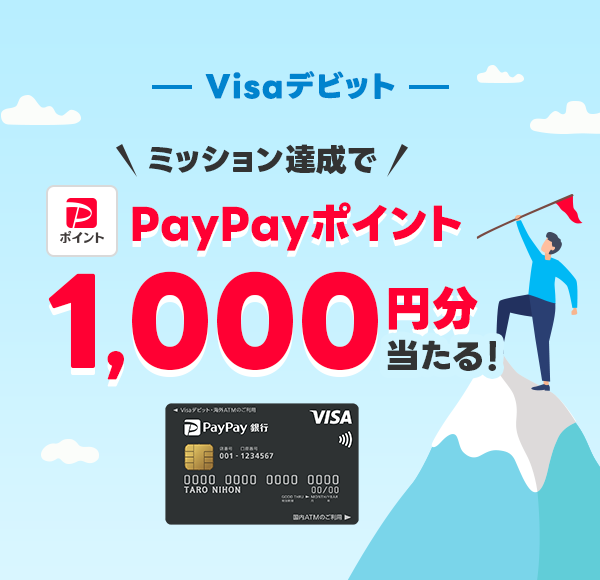 Visafrbg ~bVBPayPay|Cg1,000~I