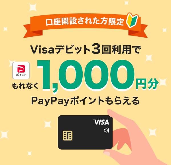 J݂ꂽ Visafrbg3񗘗p Ȃ1,000~PayPay|Cg炦