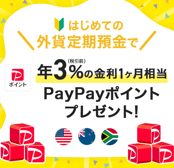 ͂߂Ă̊OݒaŔN3iňOj̋1PayPay|Cgv[gI ăh NZh Ah
