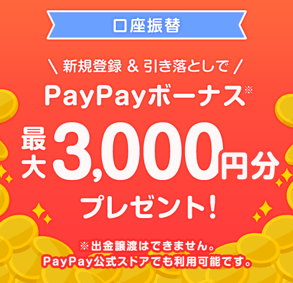U VKo^ƂPayPay{[iXő3,000~v[gI on͂ł܂BPayPayXgAłp\łB