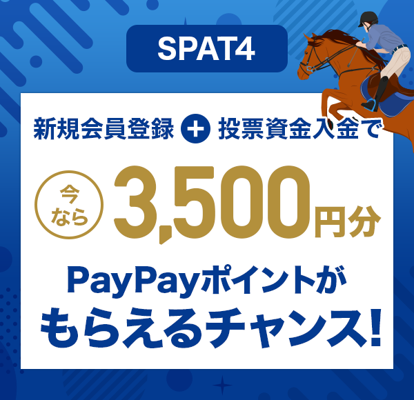 SPAT4 VKo^{[ Ȃ3,500~PayPay|Cg炦`XI