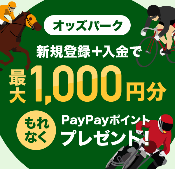 IbYp[N VKo^{ ő1,000~ȂPayPay|Cgv[gI