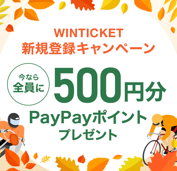 WINTICKET VKo^Ly[ ȂS500~PayPay|Cgv[g
