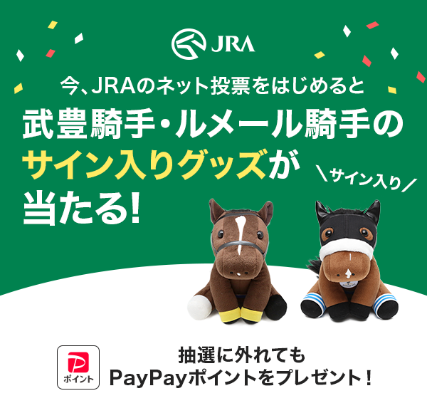 AJRÃlbg[͂߂ƕLRE[R̃TCObYI IɊOĂPayPay|Cgv[gI