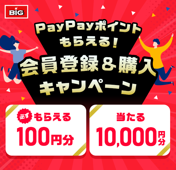 BIG PayPay|Cg炦I o^wLy[ K炦 100~  10,000~