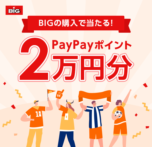 BIG̍wœI PayPay|Cg2~