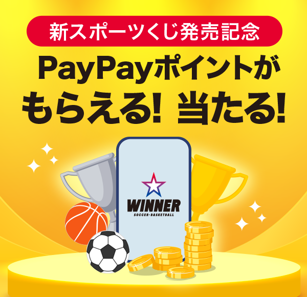 VX|[cLO PayPay|Cg炦I I