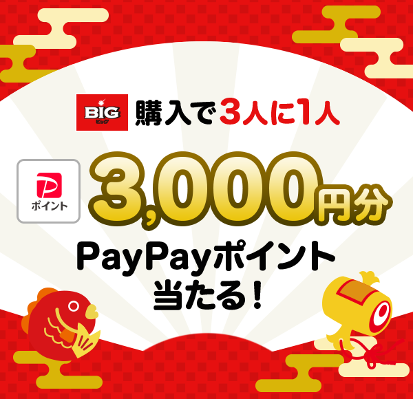 BIGw3l1l3,000~PayPay|CgI