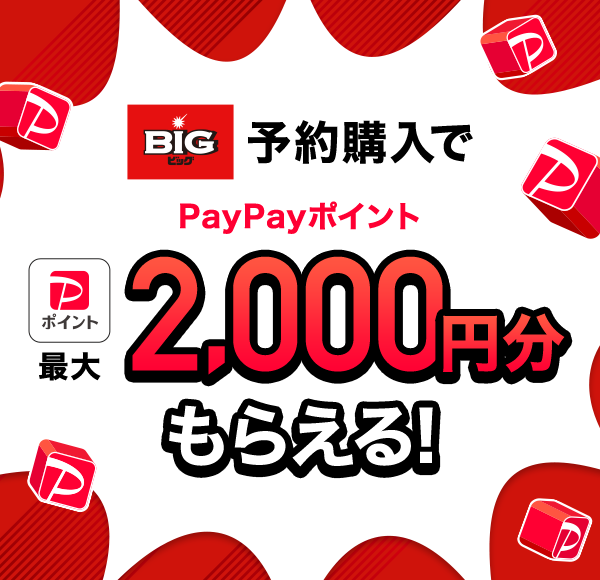 BIG\wPayPay|Cgő2,000~炦I