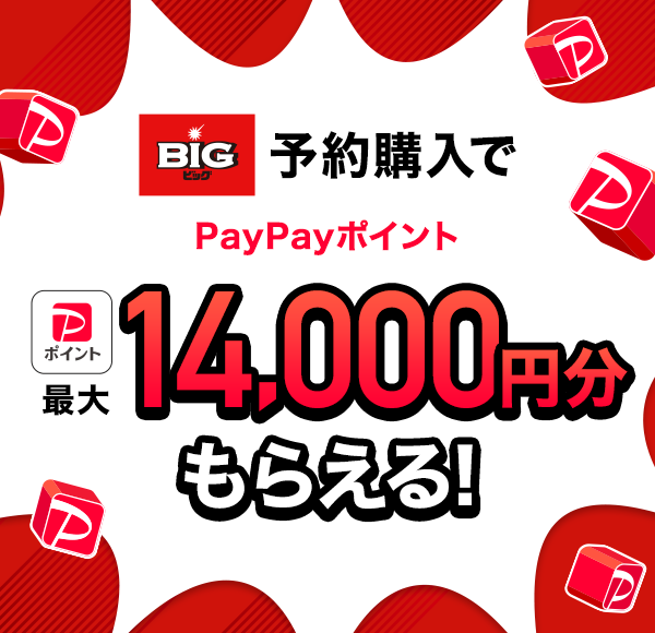 BIG\wPayPay|Cgő14,000~炦I