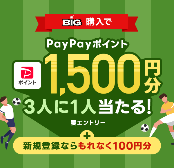 BIGwPayPay|Cg1,500~3l1lI {VKo^ȂȂ100~ vGg[