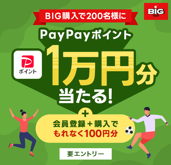 BIGw200lPayPay|Cg1~I {o^{włȂ100~ vGg[