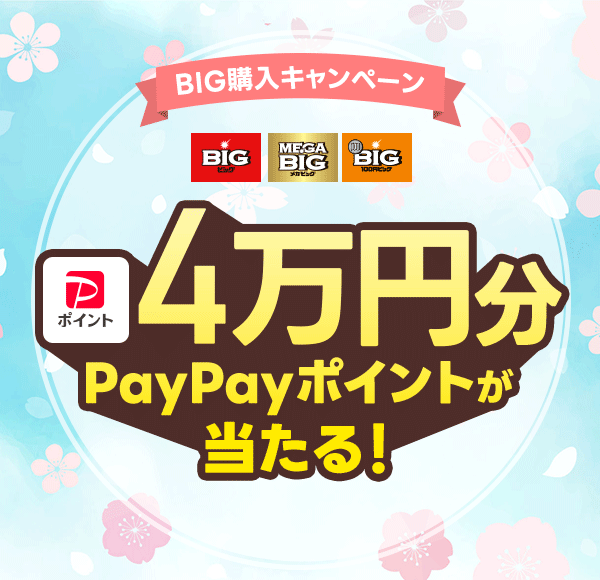 BIG�w���L�����y�[�� �r�b�O ���K�r�b�O 100�~�r�b�O 4���~��PayPay�|�C���g��������I