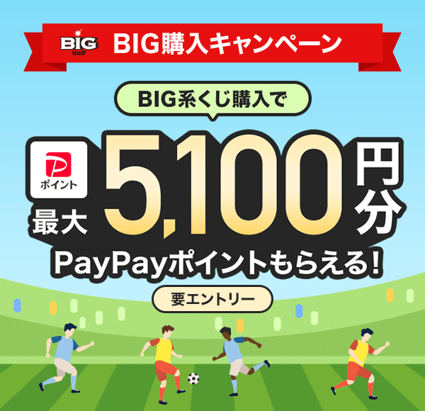 BIG BIG�w���L�����y�[�� BIG�n�����w���ōő�5,100�~��PayPay�|�C���g���炦��I �v�G���g���[