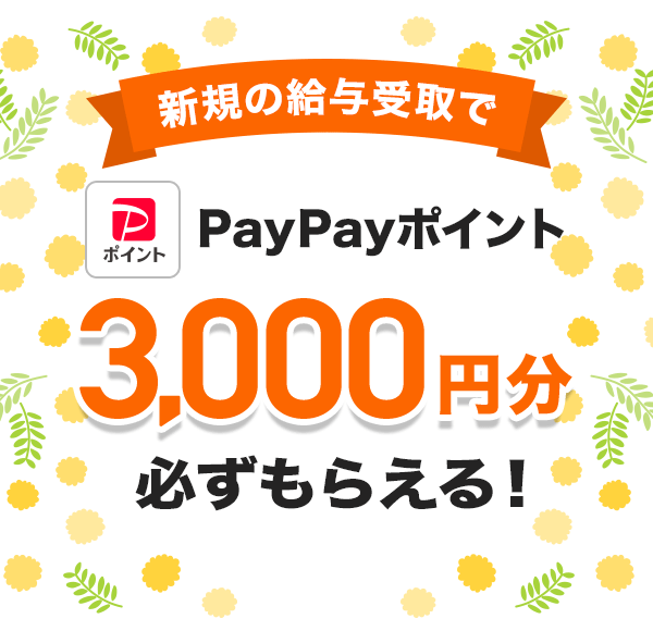 VK̋^PayPay|Cg3,000~K炦I