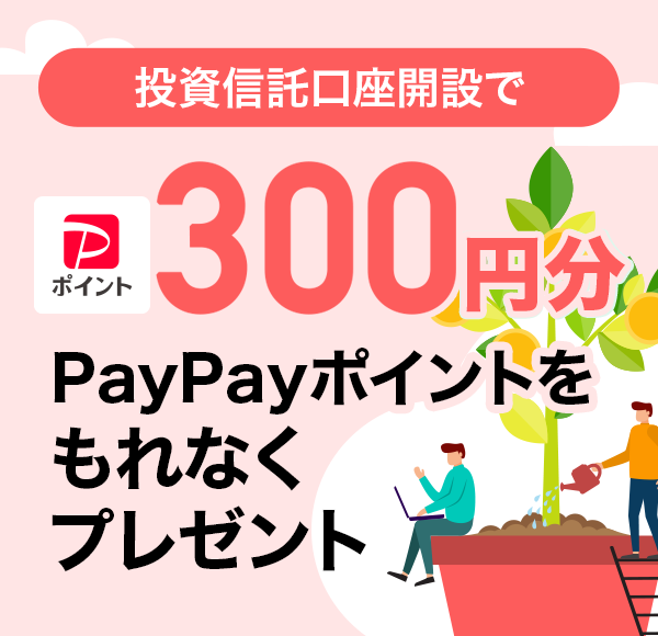 MJ݂ 300~PayPay|CgȂv[g