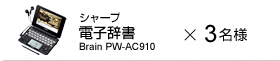 V[v gъwK[ dq Brain PW-AC910 3l