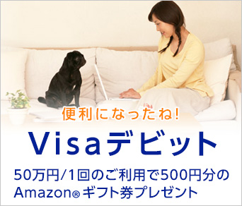 ֗ɂȂˁI Visafrbg 50~^1̂pAmazon.co.jpiRjMtgv[g