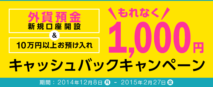 OݗaVKJ݁10~ȏエa Ȃ1,000~LbVobNLy[ ԁF2014N128ijj2015N227ijj܂