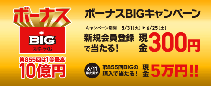 8551ō10~ {[iXBIGLy[ Ly[ 531iΗjj625iyjj܂ VKo^œI 300~ 611̔Jn855BIG̍wœI 5~!!