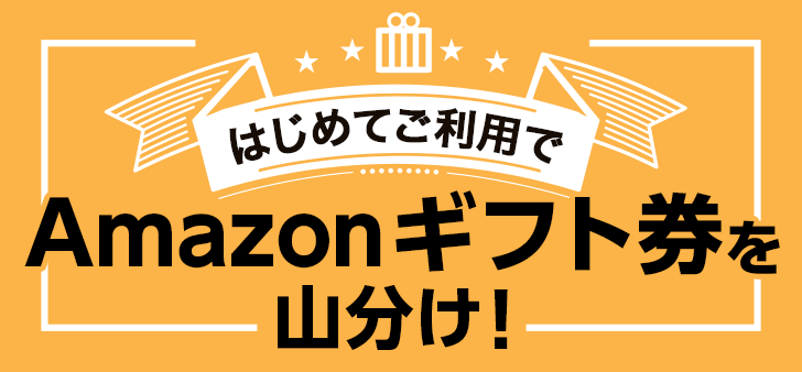 ͂߂ĂpAmazonMtgRI