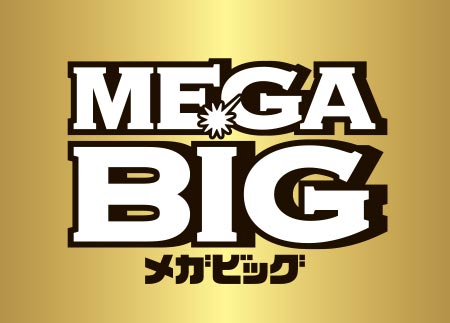 メガビック