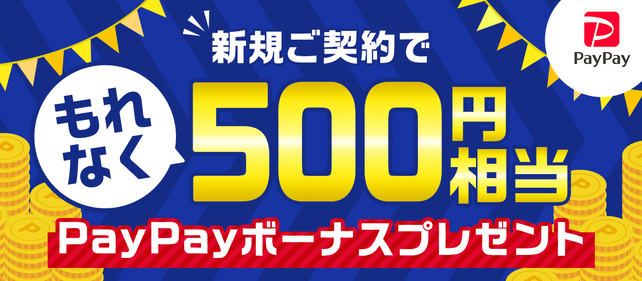 PayPay VK_łȂ500~ PayPay{[iXv[g