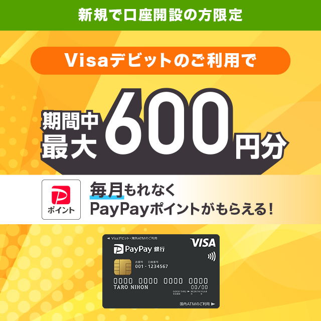 VKŌJ݂̕ VisafrbĝpŊԒő600~ ȂPayPay|Cg炦I