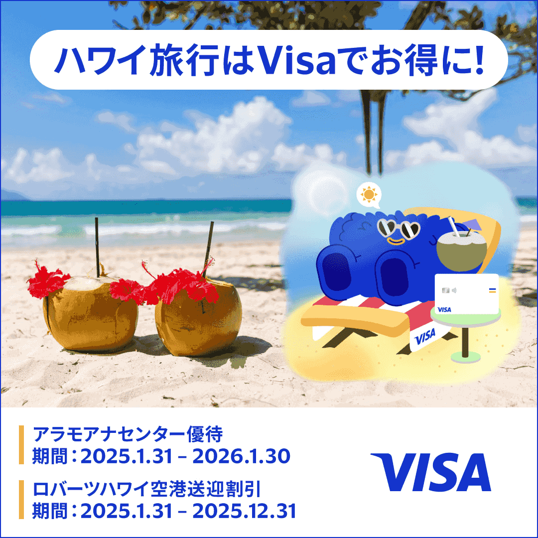 nCsVisałɁI AAiZ^[D ԁF2025N1312026N130 o[cnC`} ԁF2025N1312025N1231 VISA