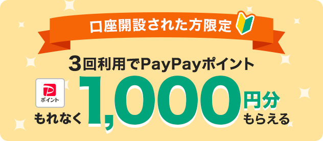 J݂ꂽ 3񗘗pPayPay|CgȂ1,000~炦