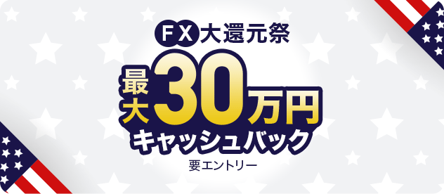 FXҌ ő30~LbVobN vGg[