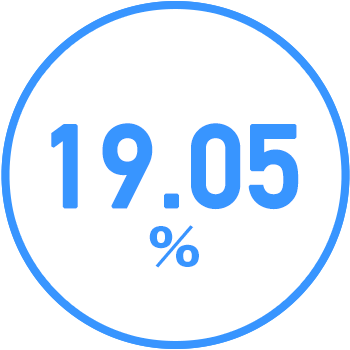 19.05％