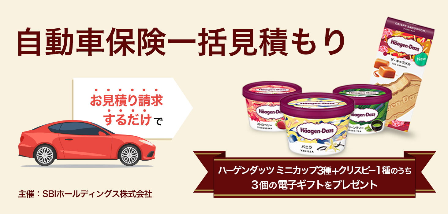 自動車保険一括見積もり請求 Paypay銀行