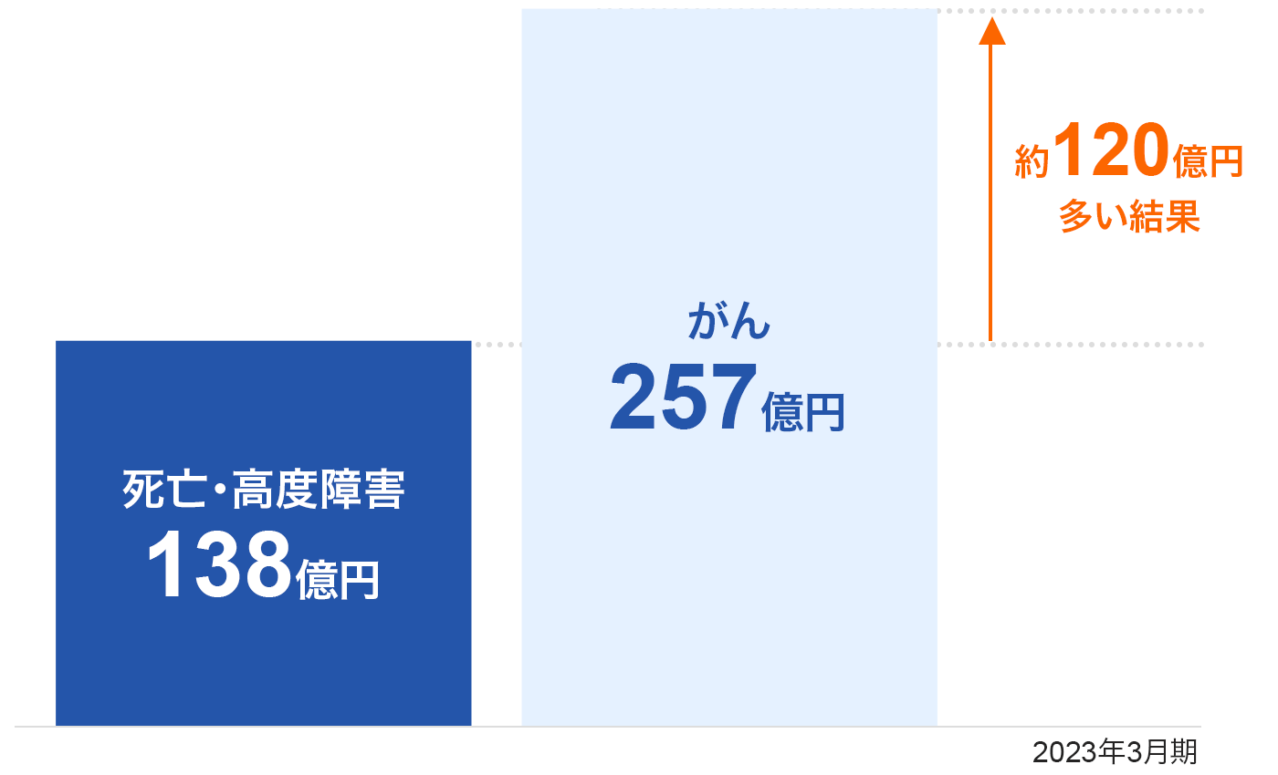 SExQ138~ 257~ ̕120~ 2023N3