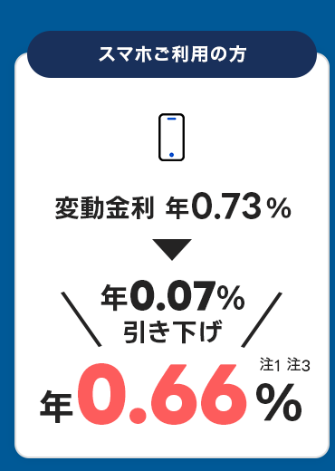 X}zp̕ ϓ N0.73 N0.07 N0.66 1 3