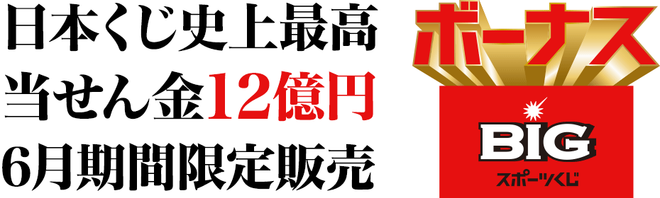 {jō 12~ 6Ԍ̔ {[iXBIG X|[c