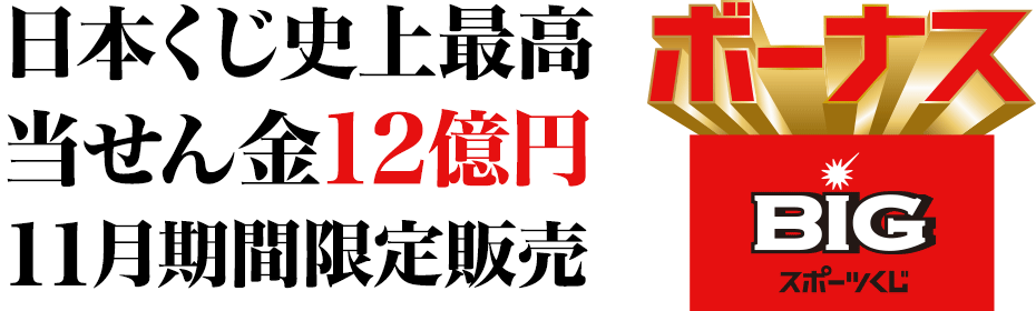 {jō 12~ 11Ԍ̔ {[iXBIG X|[c