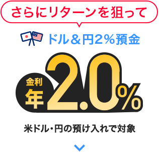 ����Ƀ��^�[����_���� �h�����~2���a�� �����N2.0�� �ăh���E�~�̗a������őΏ�