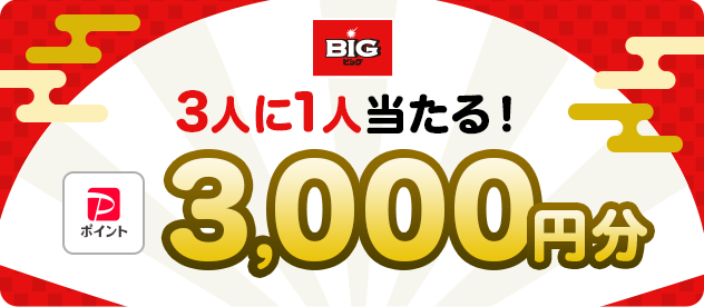スポーツくじ Winner Big Toto Paypay銀行