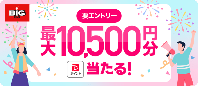 vGg[ ő10,500~PayPay|CgI