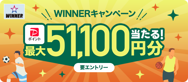 WINNERLy[ PayPay|Cgő51,100~I vGg[
