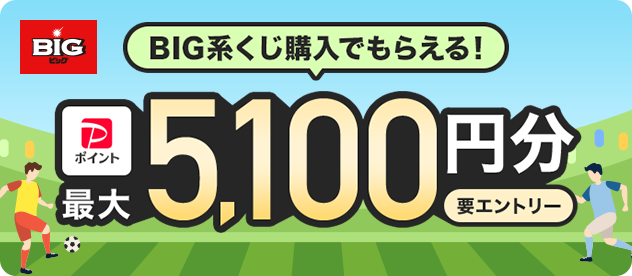 BIG BIG�n�����w���ł��炦��I PayPay�|�C���g�ő�5,100�~�� �v�G���g���[