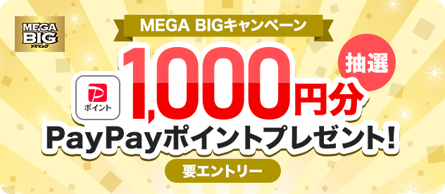 MEGA BIGキャンペーン 抽選 1,000円分PayPayポイントプレゼント! 要エントリー